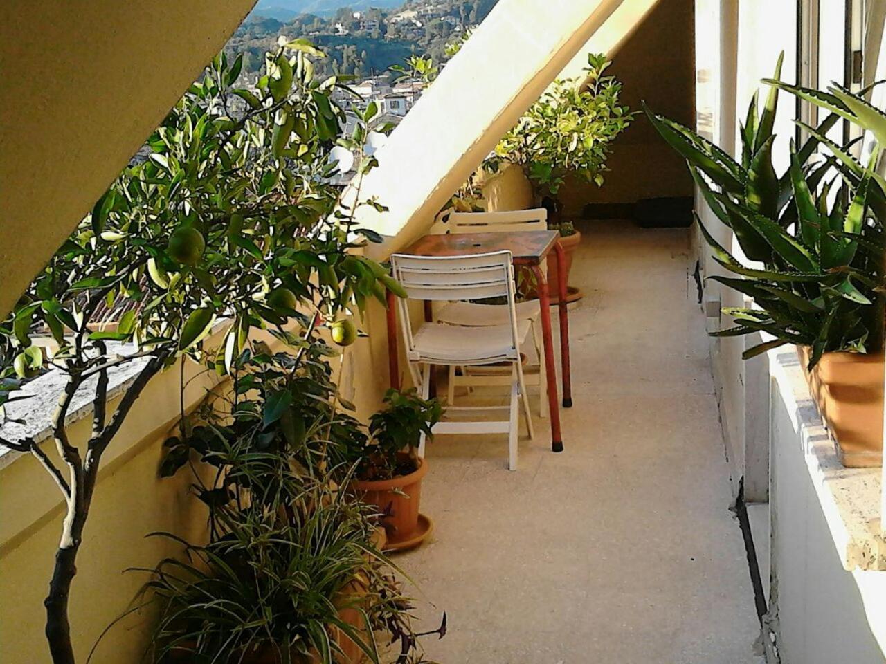 A Casa Di Lola Bed & Breakfast Ascoli Piceno Ngoại thất bức ảnh