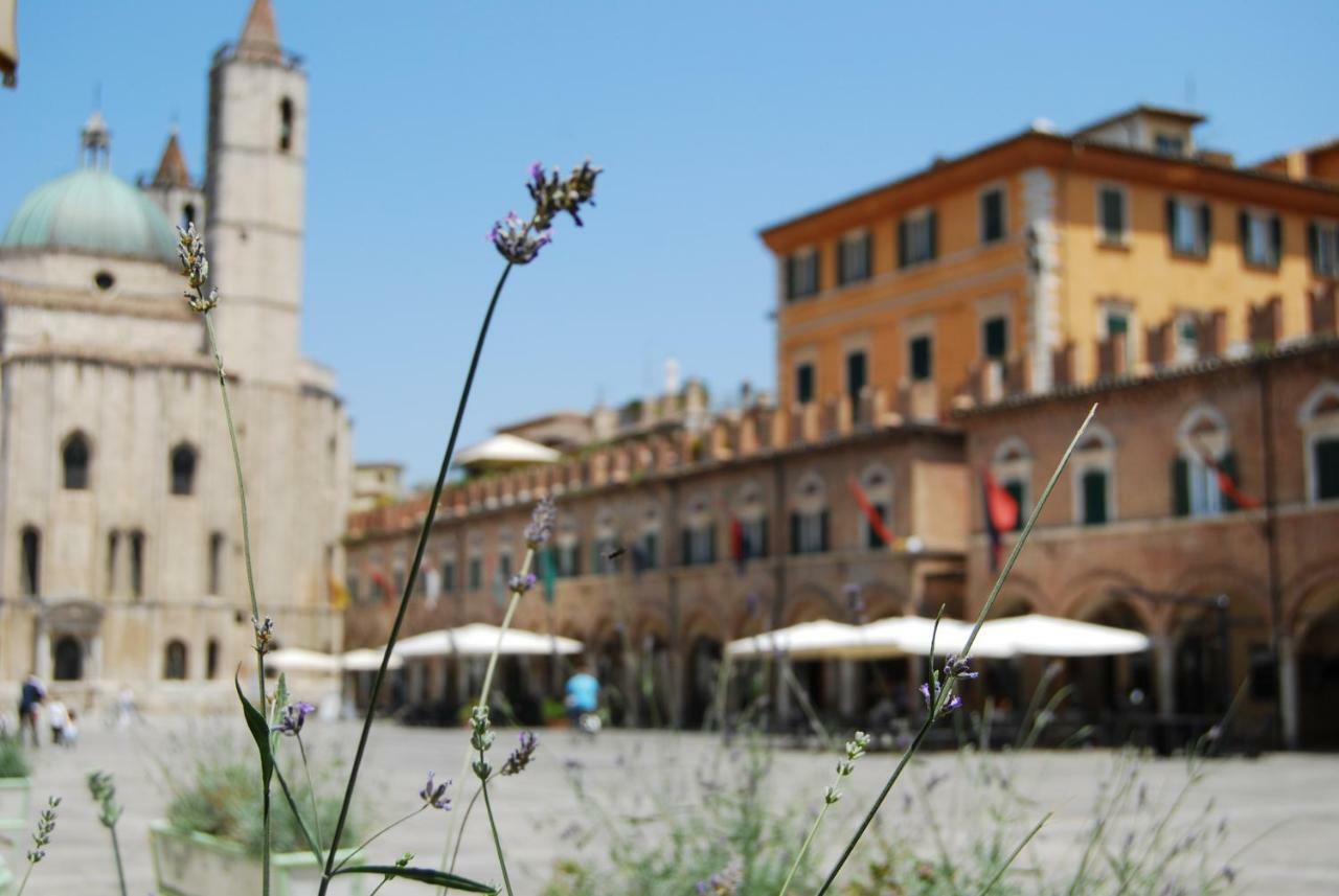 A Casa Di Lola Bed & Breakfast Ascoli Piceno Ngoại thất bức ảnh