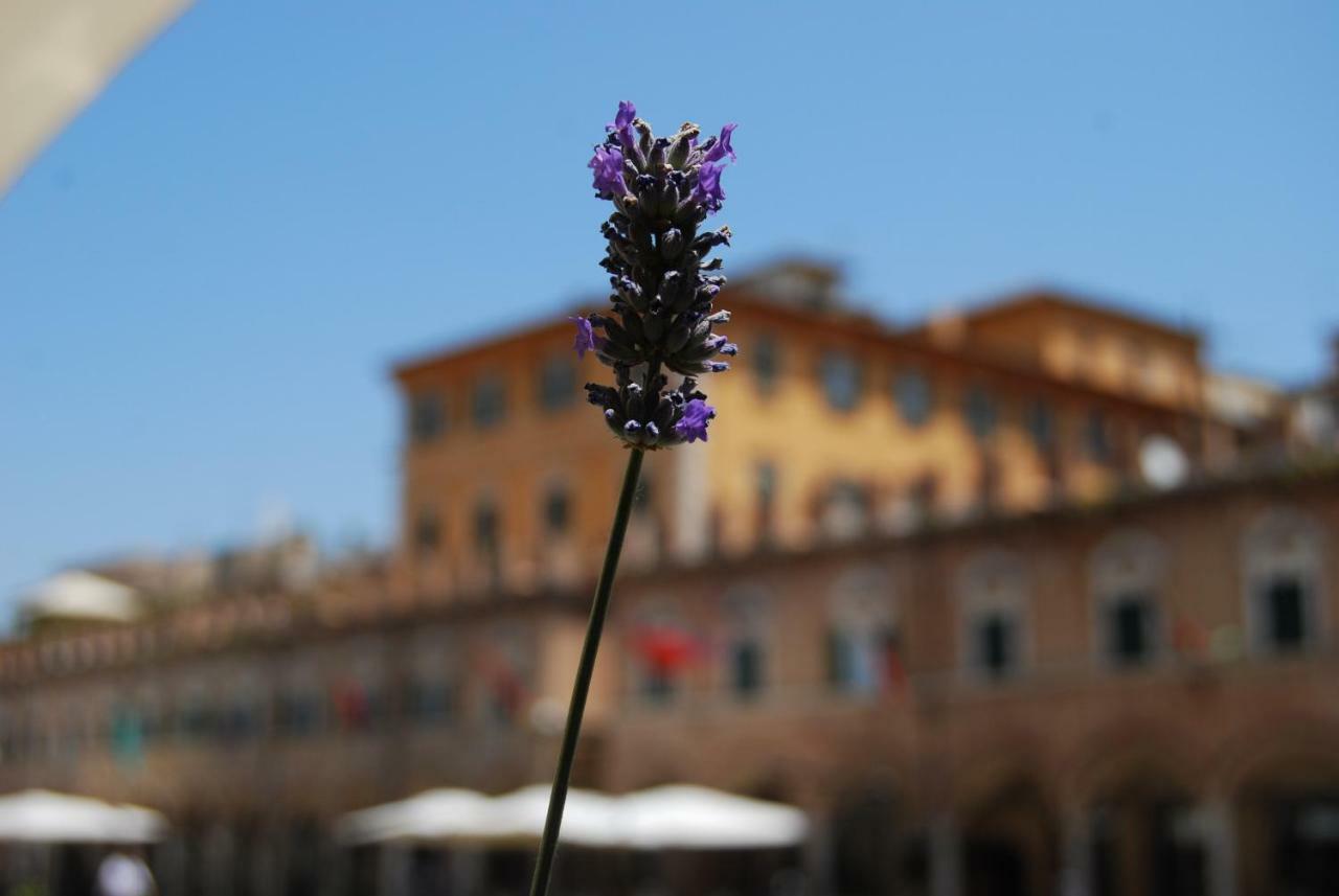 A Casa Di Lola Bed & Breakfast Ascoli Piceno Ngoại thất bức ảnh